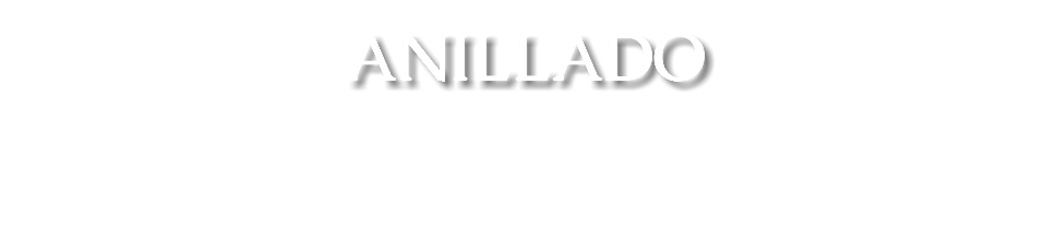 ANILLADO